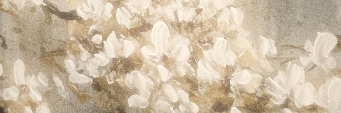 gretchen ⚢ saw leviticus's banner