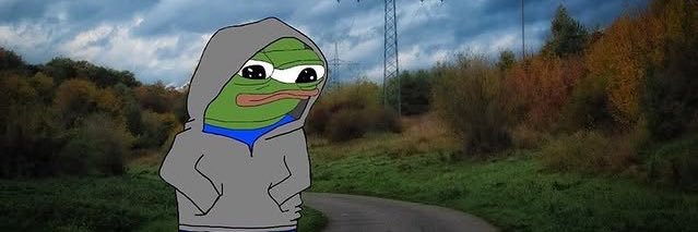Dawn Groyper 𖦏▐┛🔻's banner