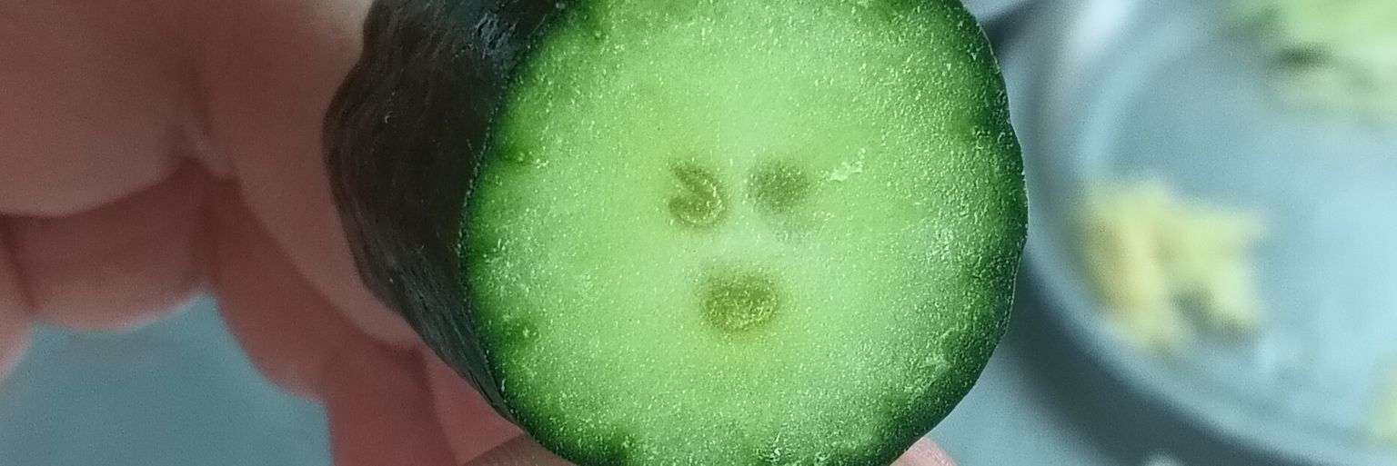 我想放假's banner