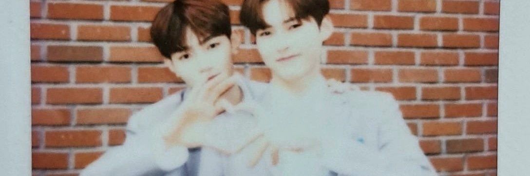 🌸's banner