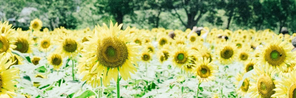 おっさー｜障がい者雇用がなりわい 障がい児の父's banner