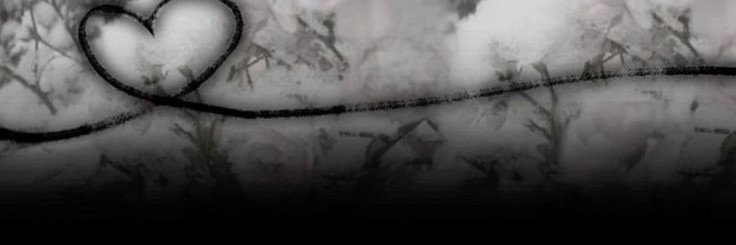 fentamilo's banner