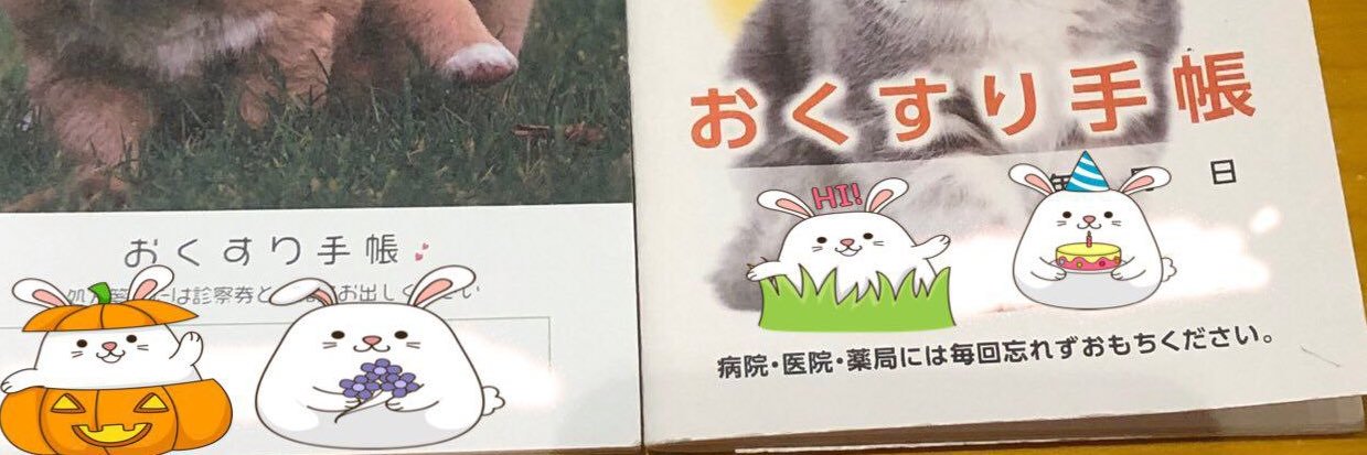鮮血A子ちゃん自由帳's banner