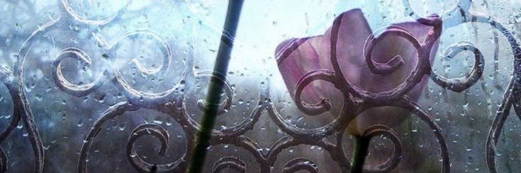 mauve ˆ𐃷ˆ's banner