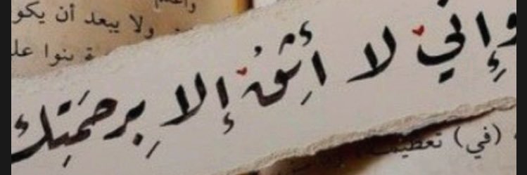 سلمى ألاشتر's banner