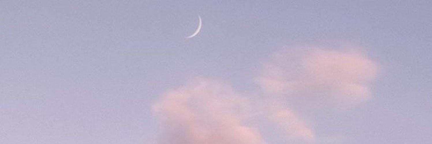 sanest girl's banner