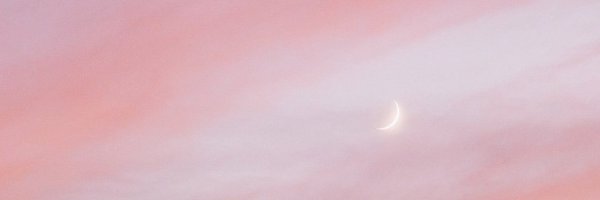孤单の少妇's banner