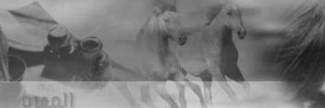 المهره's banner