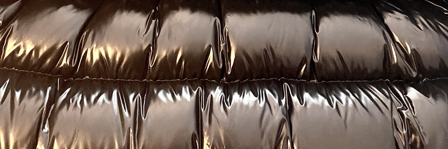 Shiny_Down_Gear_Fan17's banner