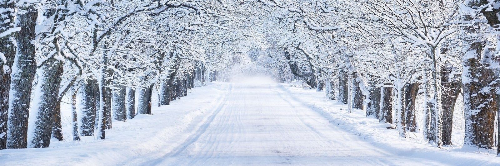 WHITE POSITIVE CONTENT ❄️'s banner