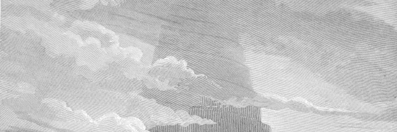 Jed Bridges's banner