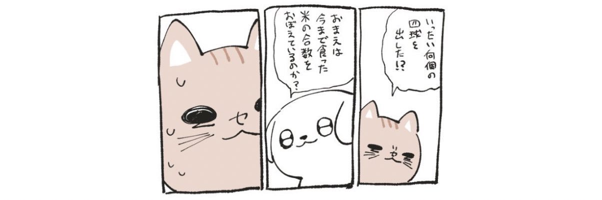 きゃす's banner