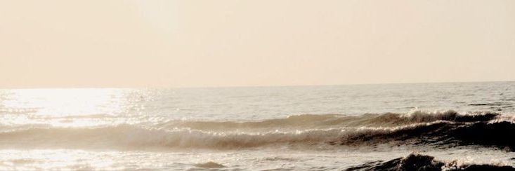 밤's banner