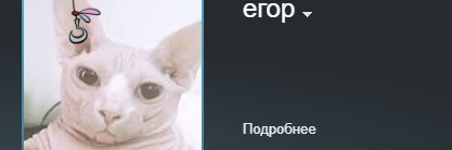 rofoshristo's banner