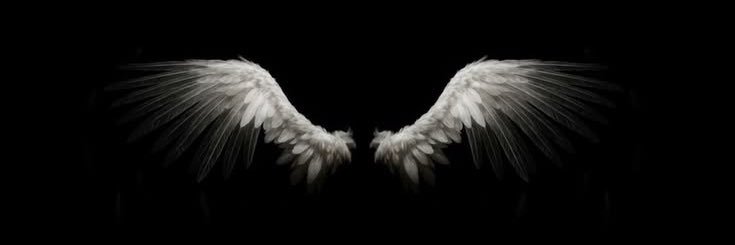 5's banner