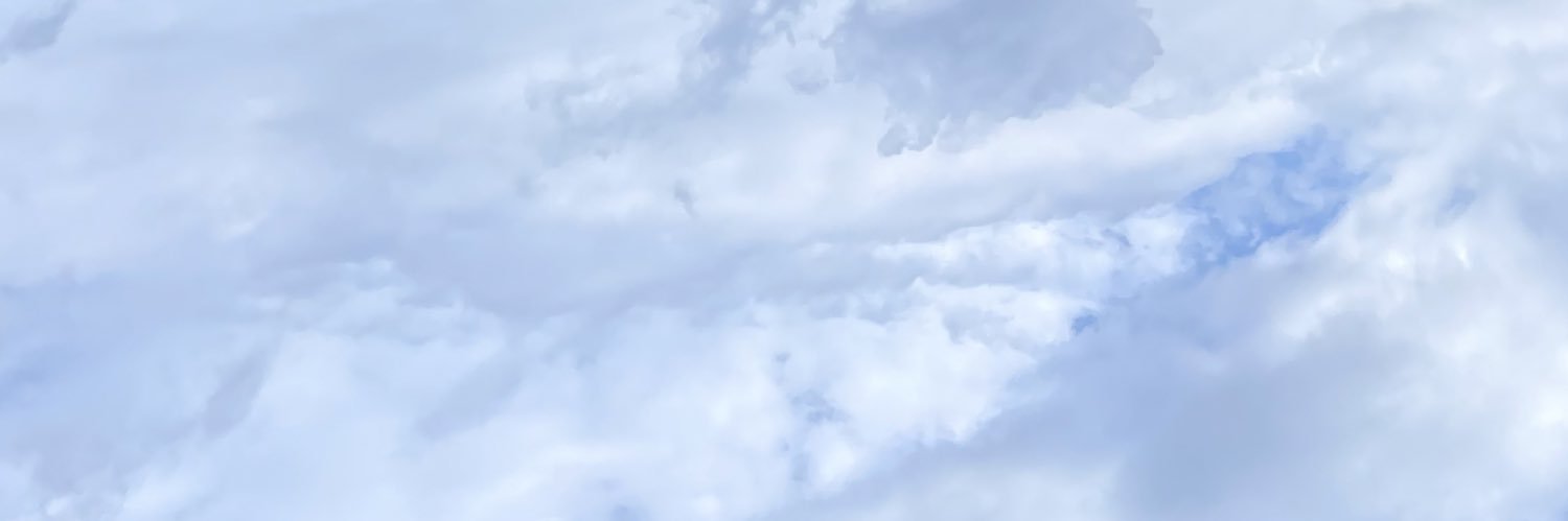 BoyToyCam's banner
