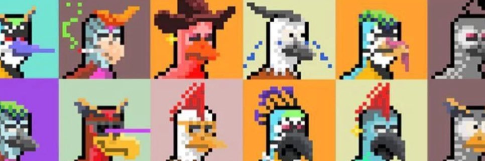 Bit Bird Club's banner