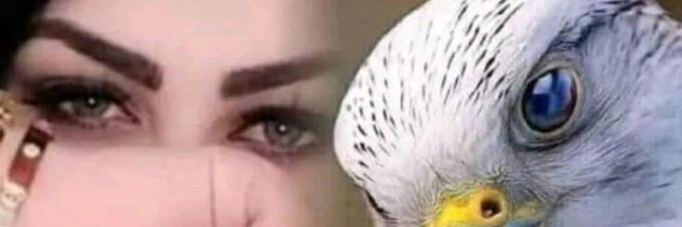💫Nadia💫's banner