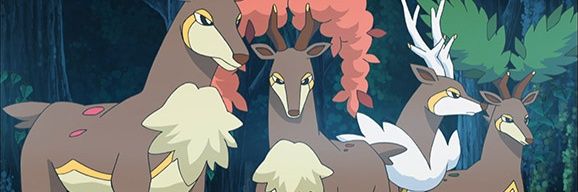 Ace Trainer Logan (he/they)'s banner