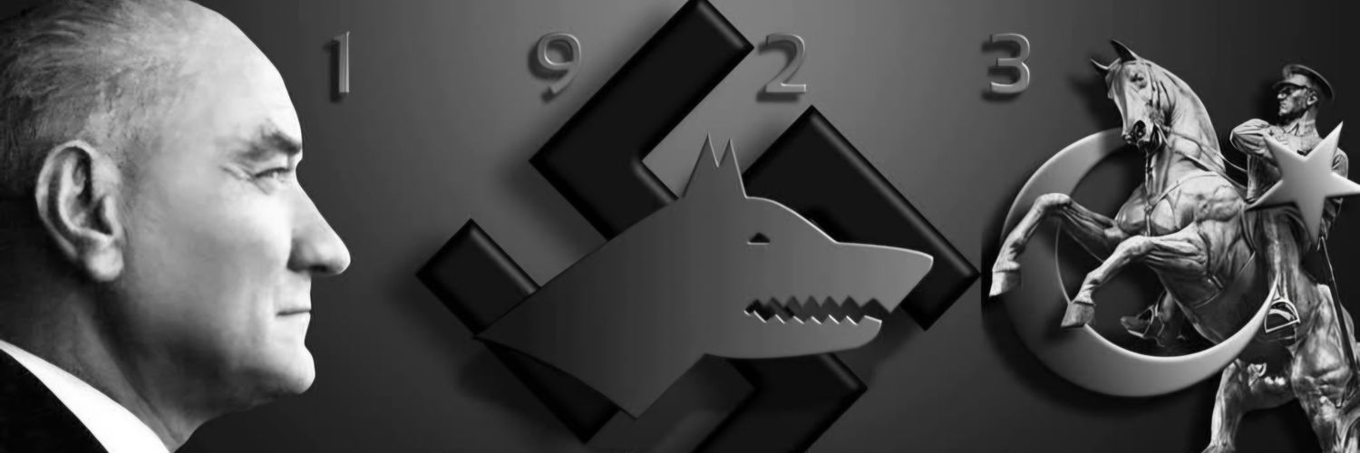 Çepni Bey 🐺's banner