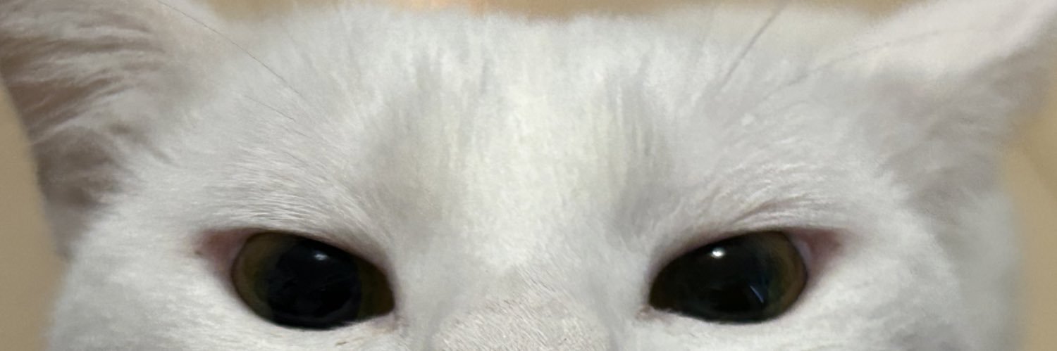 JUNK's banner