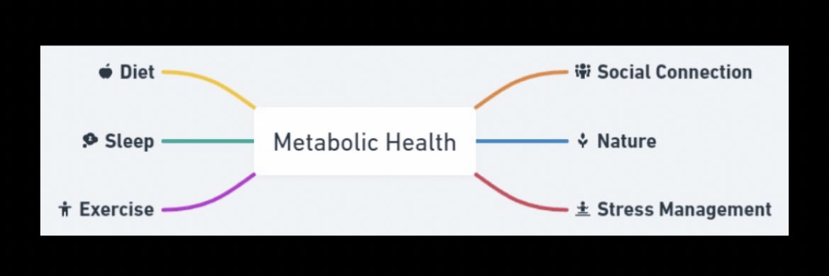 MetabolicHealth.com's banner