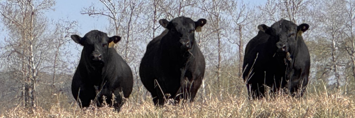 Nerbas Bros. Angus's banner