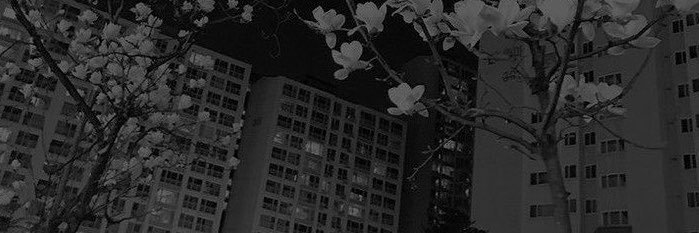 xan | semi ia's banner