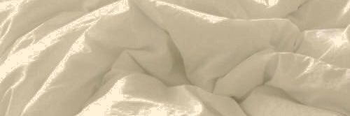stephanie's banner