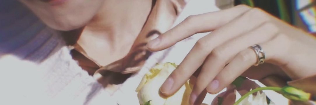🍃's banner