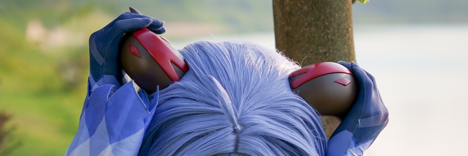 六六's banner