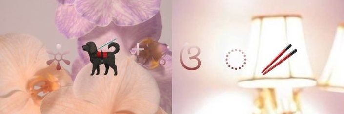 kina's banner