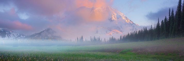 Anastasia's banner