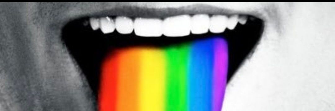 F.R.O.G.P. Free Repubblic of Gay Porn's banner