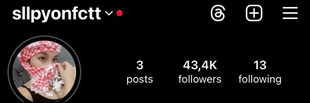 laras 🐾's banner