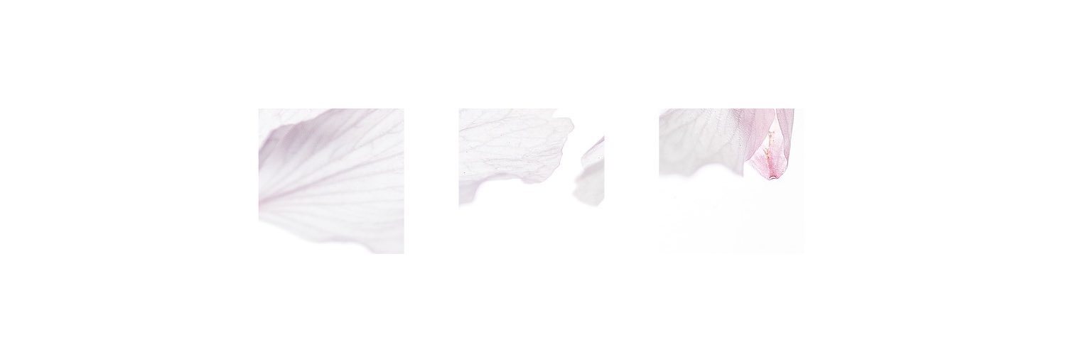志井's banner
