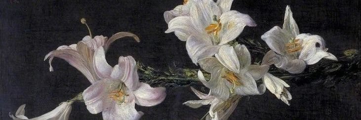 ཐི⋆ alice ⋆ཋྀ's banner