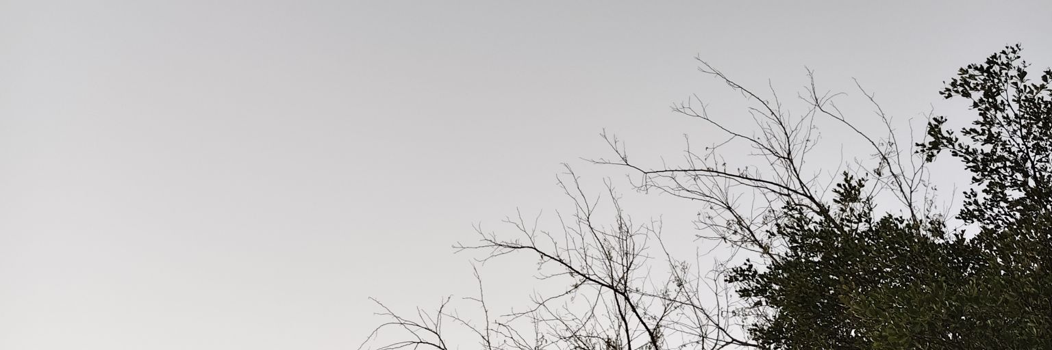 🌾_CanibeyourTonkhaw?_🪻's banner