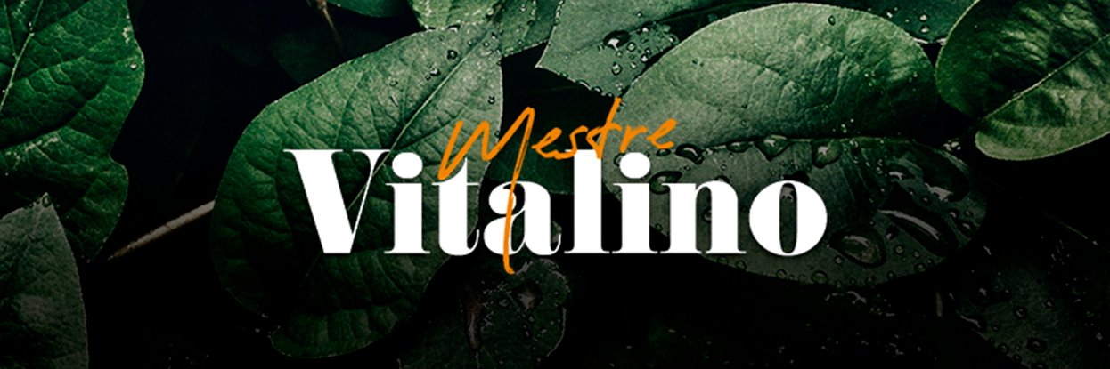Mestre Vitalino's banner
