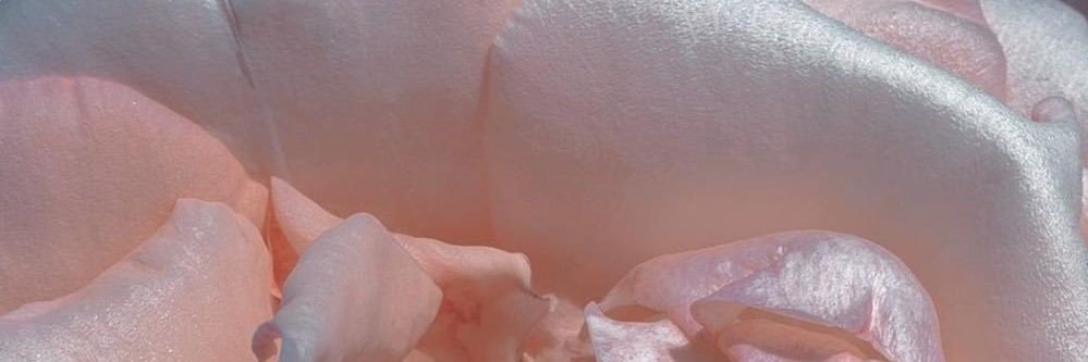妃's banner