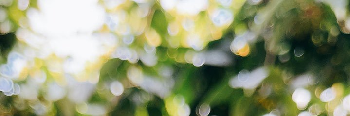 あめり🌿's banner