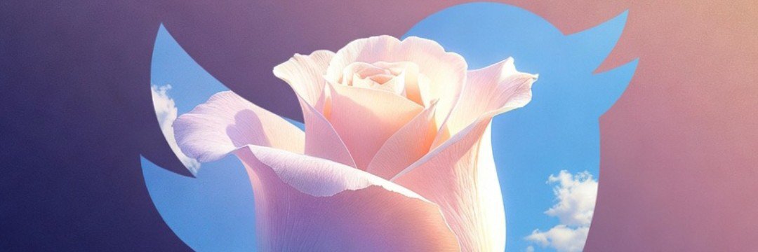 s. gül's banner