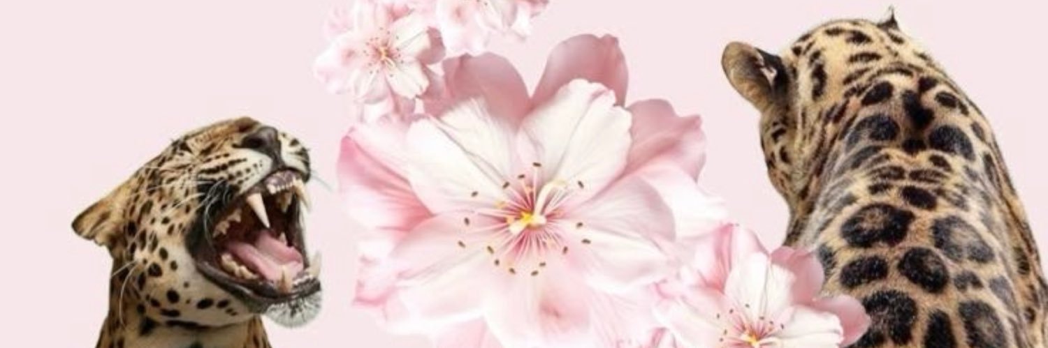 princess ❀˖°'s banner