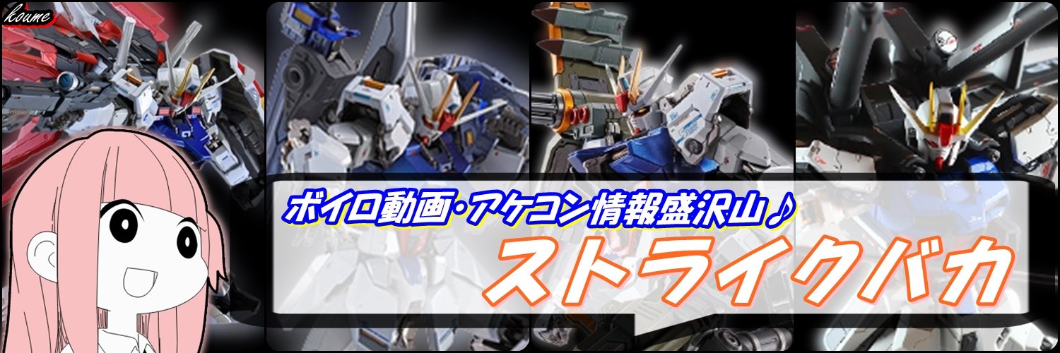 ストライクバカ@エクバボイロ動画投稿勢's banner