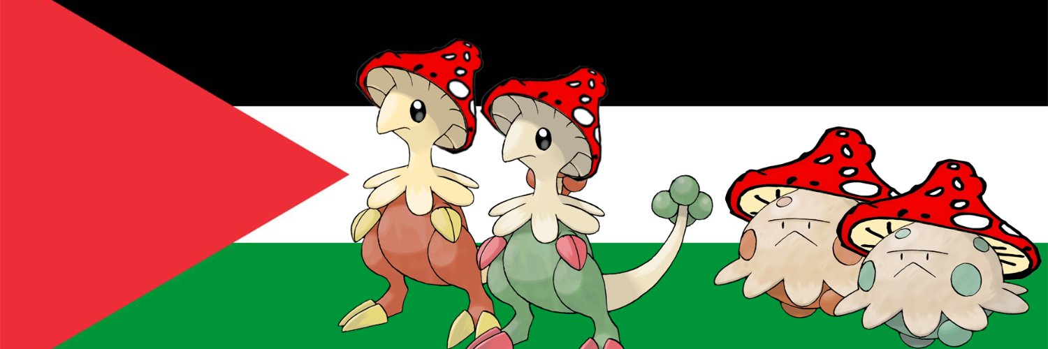 🍄 shroom socialist's banner