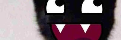 bigsleeter's banner