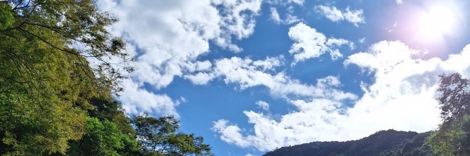 野海熊🐻's banner