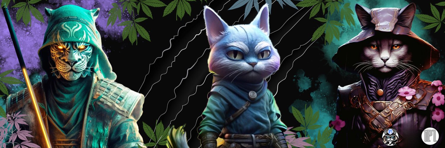 PussNinja's banner