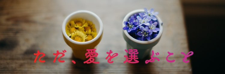 映画『ただ、愛を選ぶこと』公式(4/25公開)'s banner