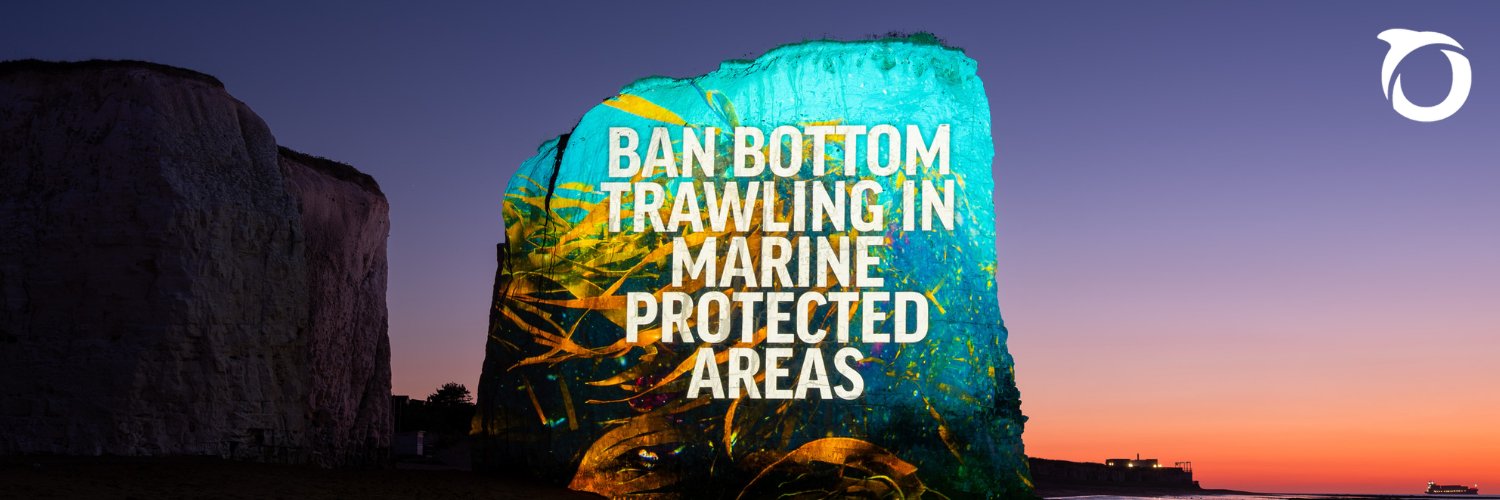 Oceana UK's banner